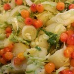 Kartoffelsalat m forårsløg og Havtorn